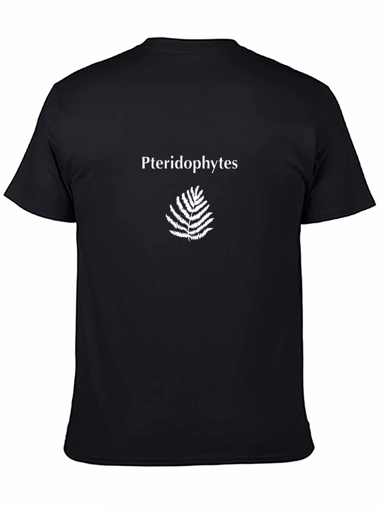 Pteridophytes Black T-Shirt - Fern Design