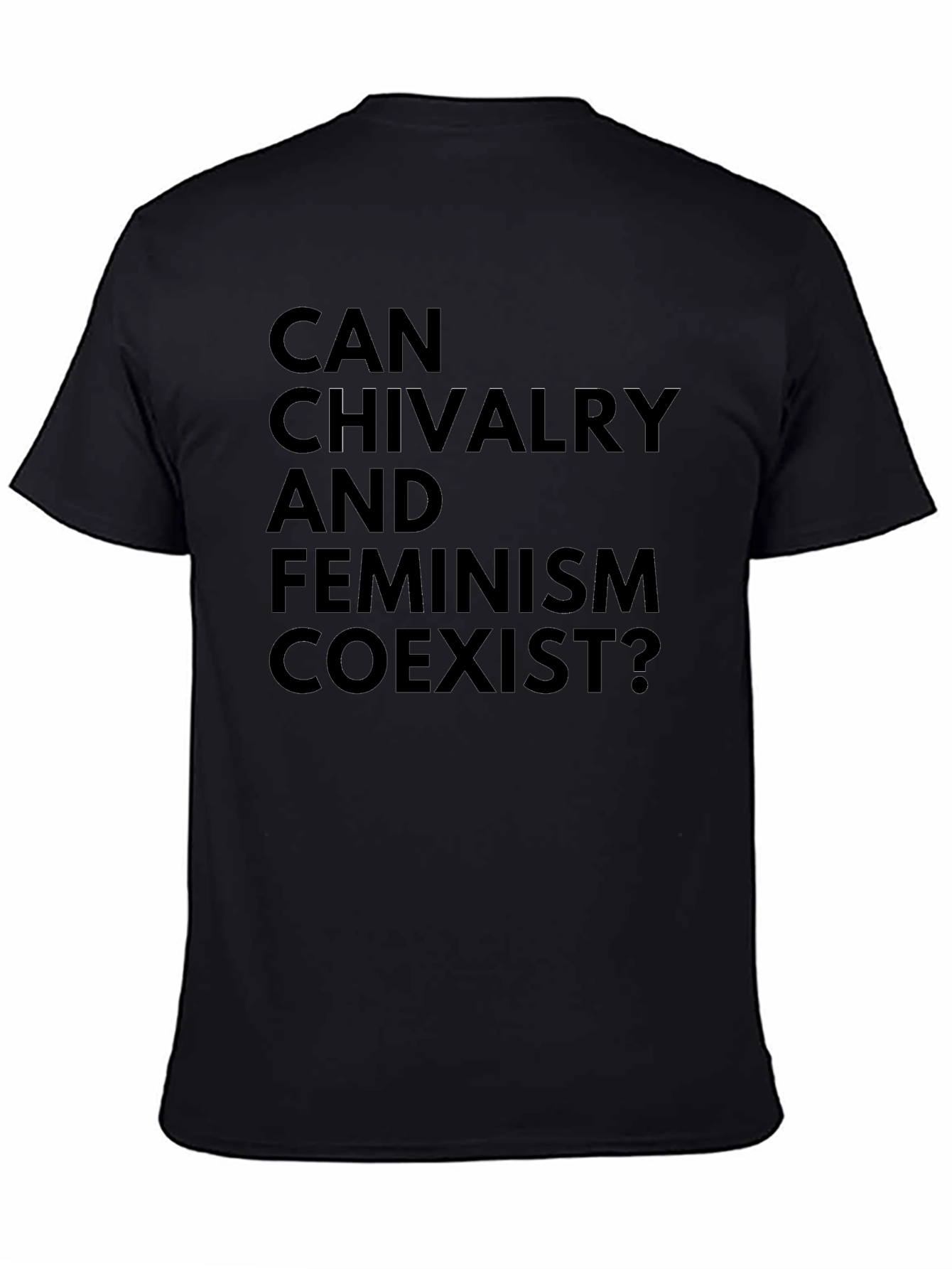 Chivalry and Feminism Coexist T-Shirt