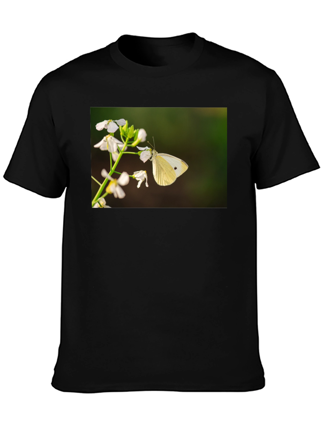 Butterfly Print Black T-Shirt