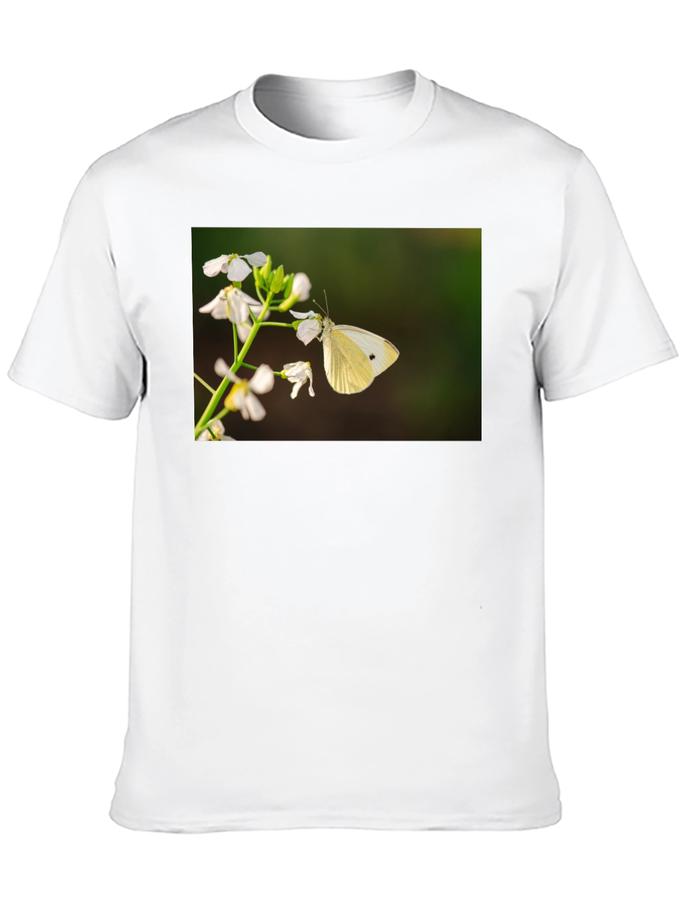 Butterfly Print Black T-Shirt