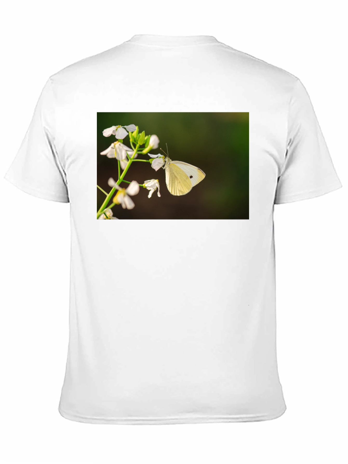 Butterfly Print Black T-Shirt