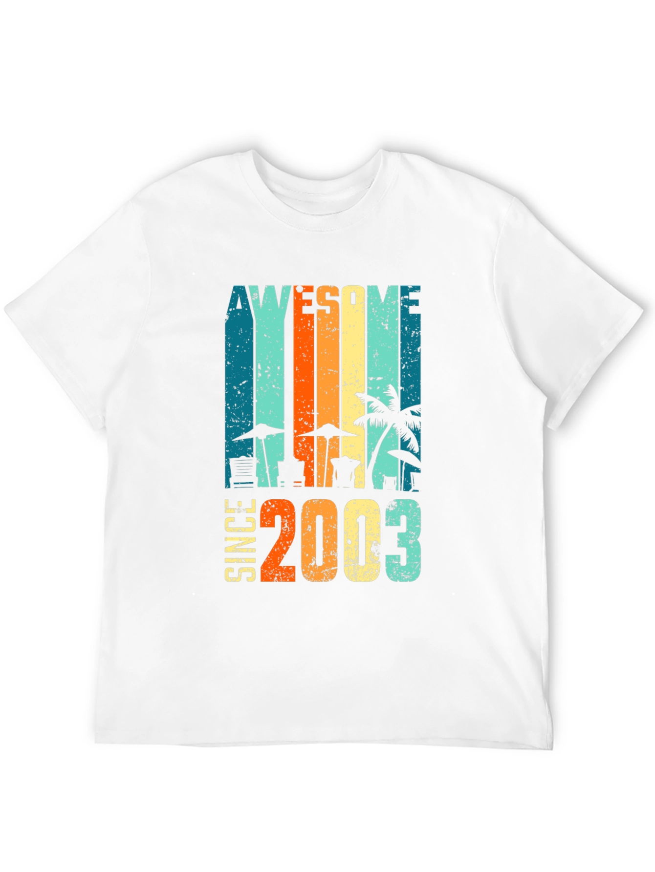 Awesome Since 2003 Retro Graphic T-Shirt