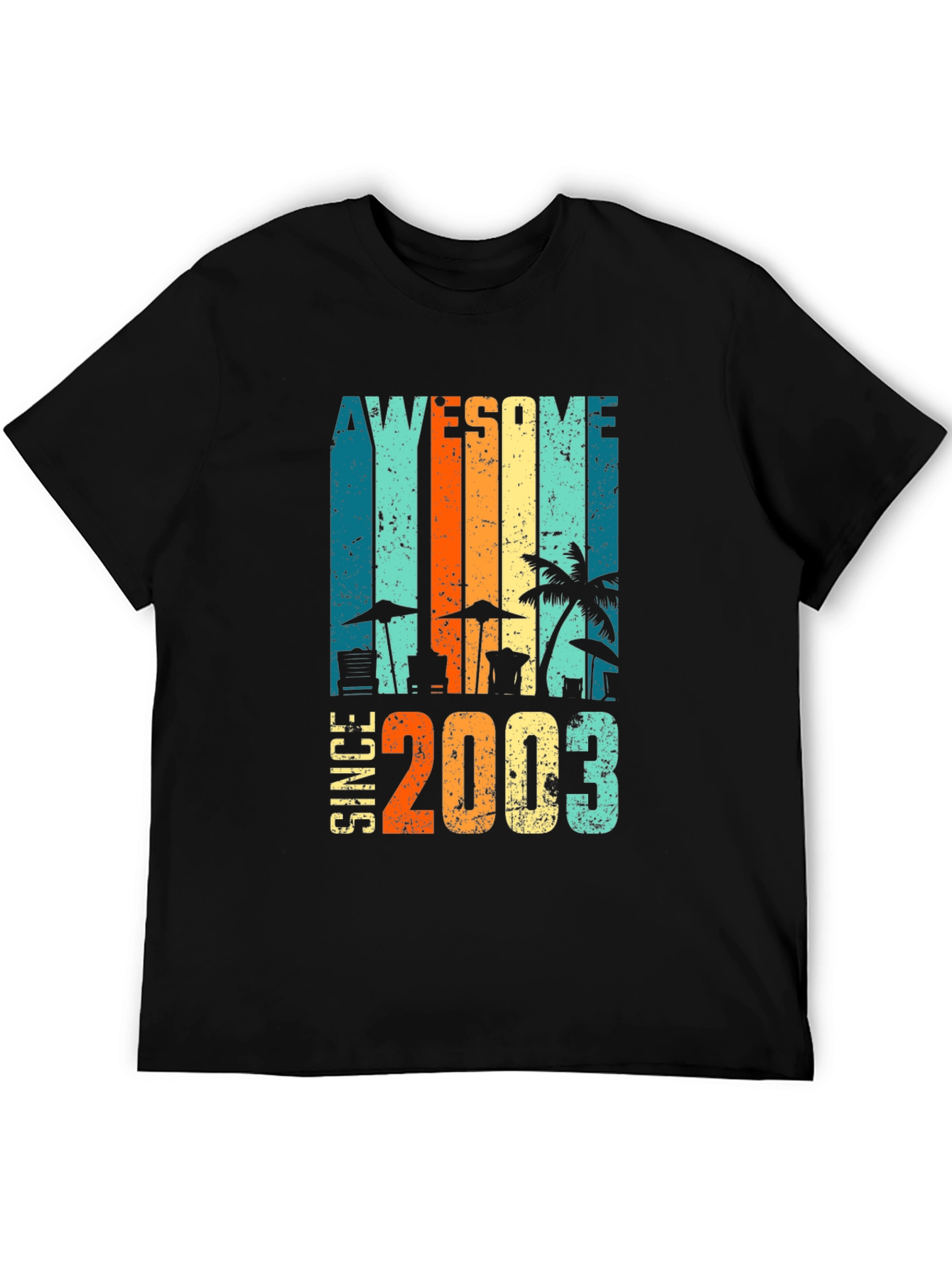 Awesome Since 2003 Retro Graphic T-Shirt