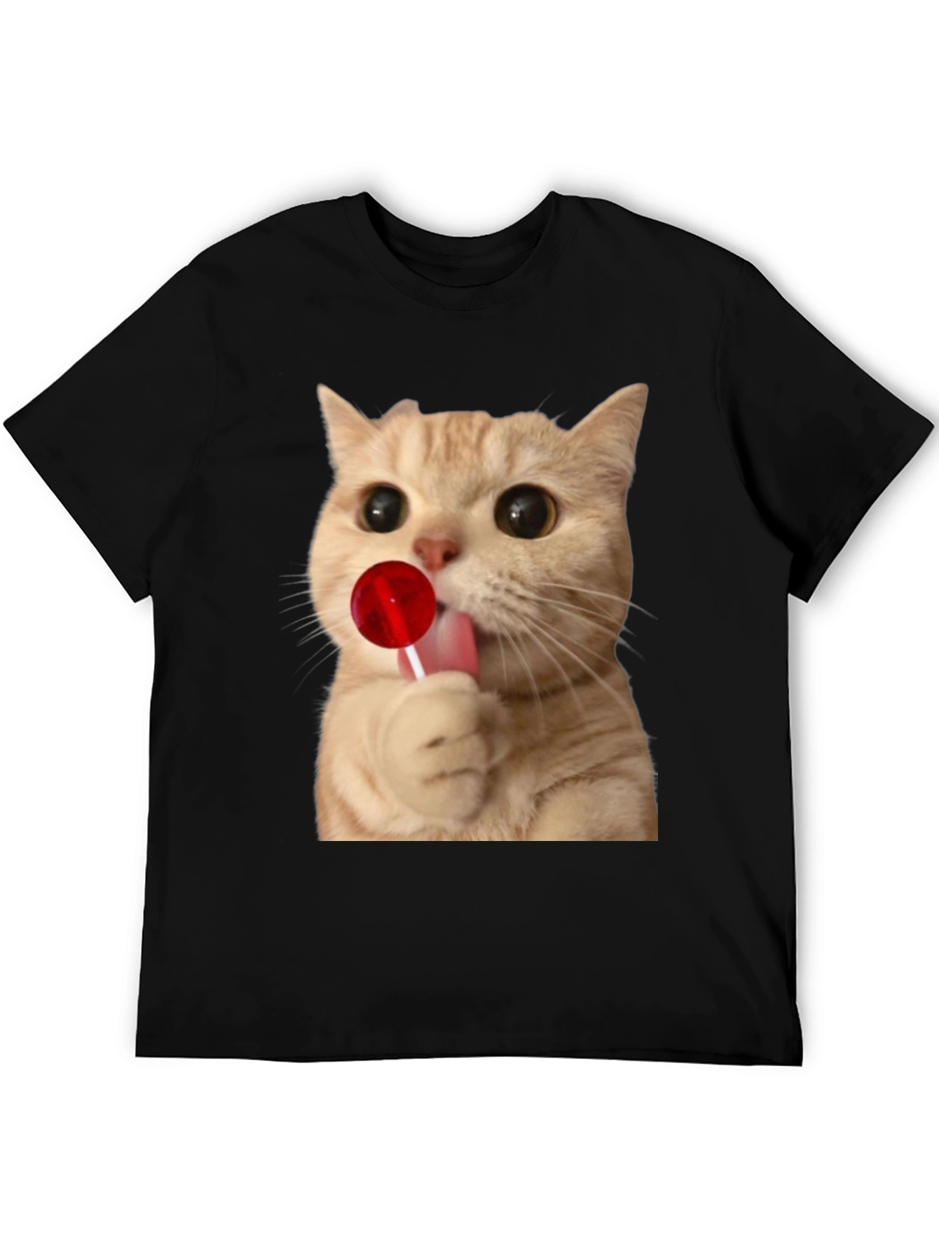 Cat Licking Lollipop Graphic T-Shirt - Unisex