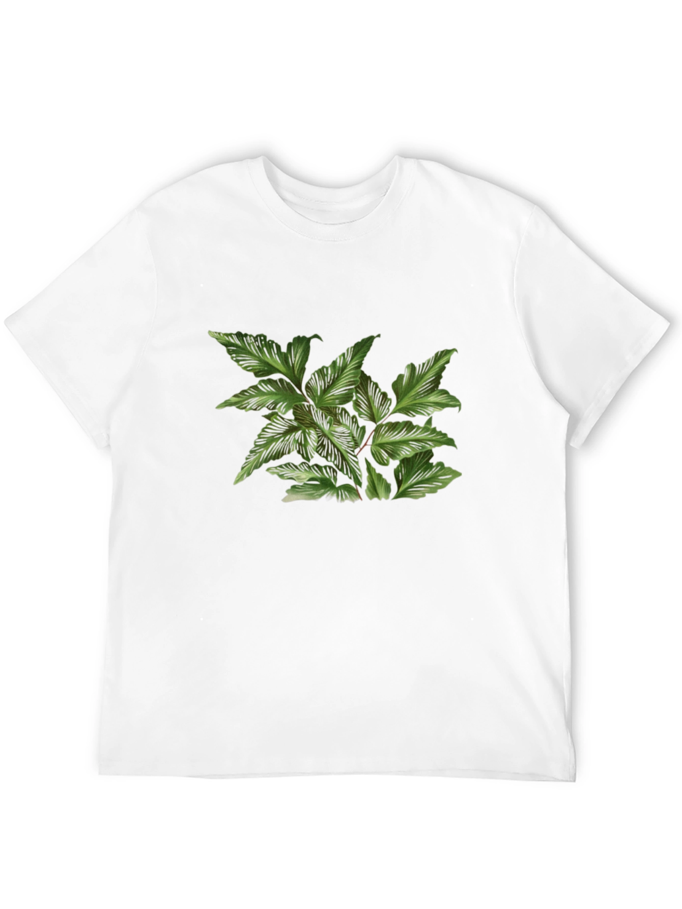 Botanical Print Black T-Shirt