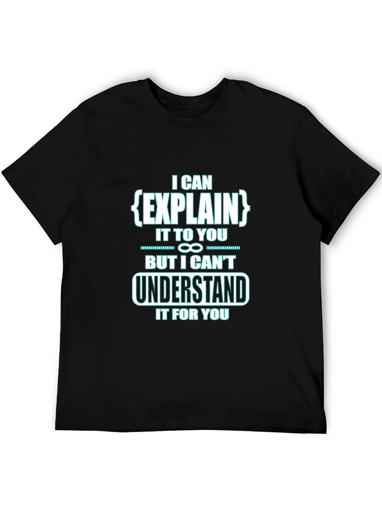 I Can Explain It To You Funny Black T-Shirt