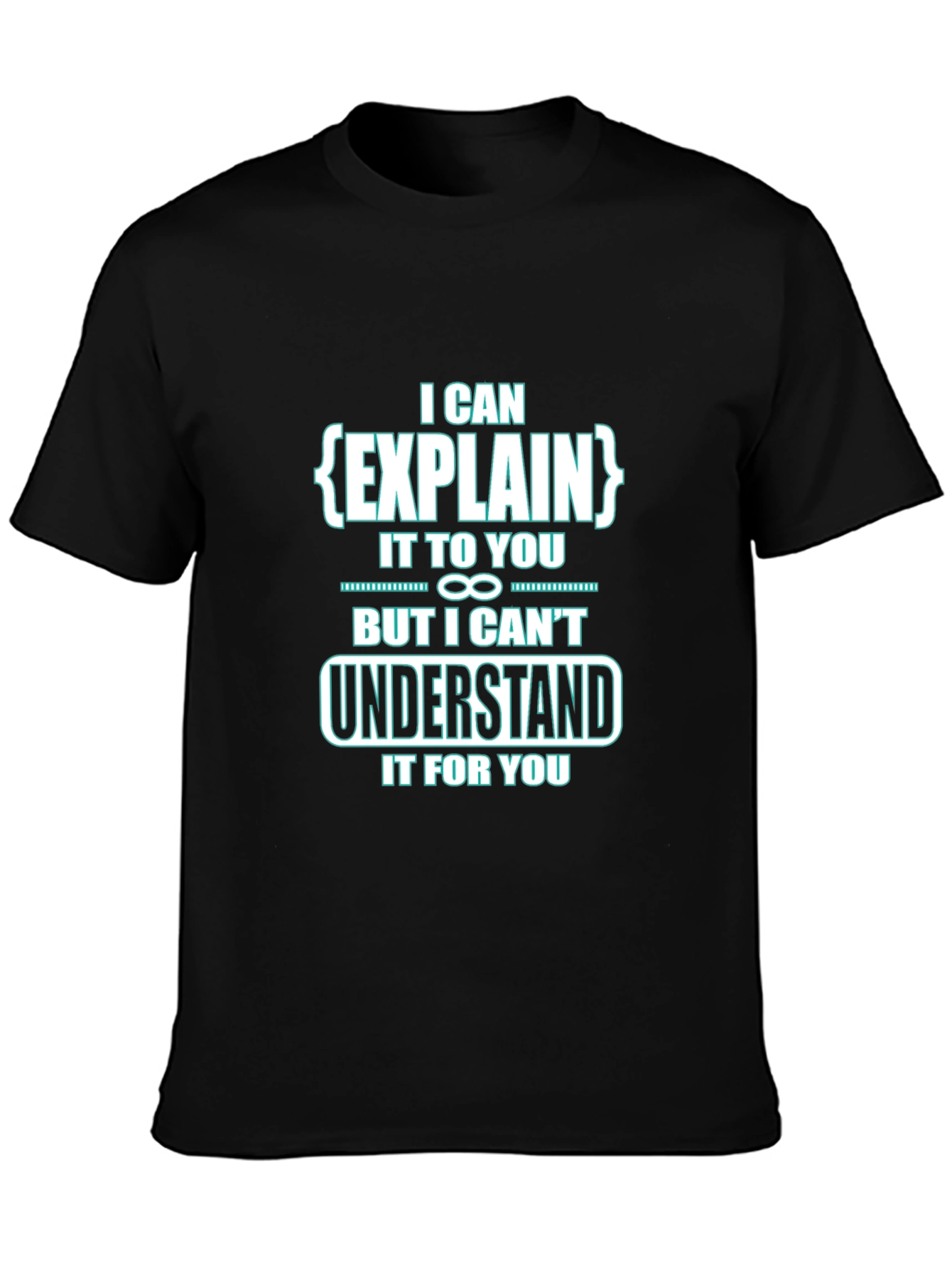 I Can Explain It To You Funny Black T-Shirt
