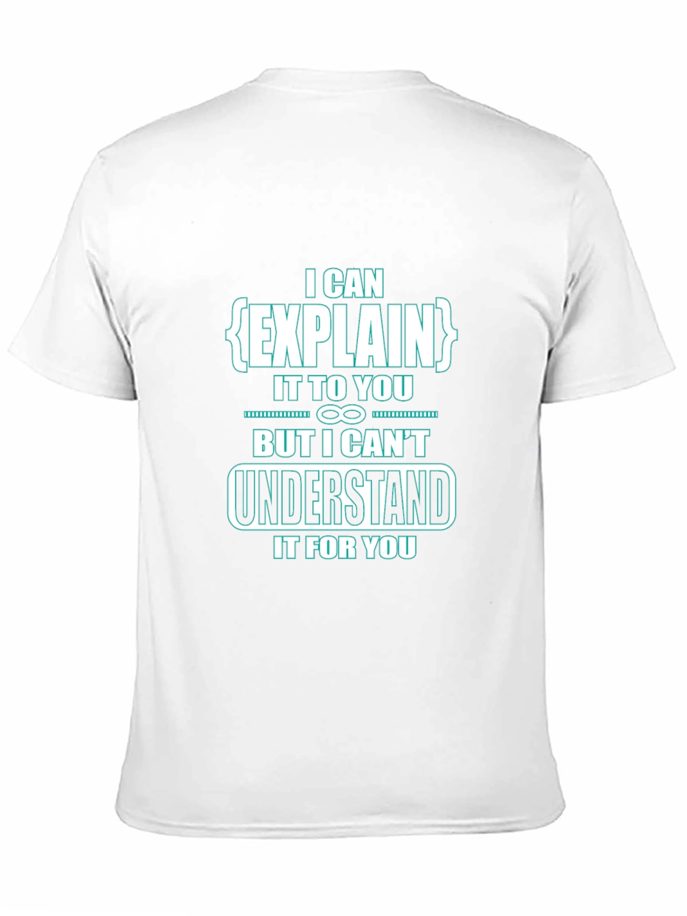 I Can Explain It To You Funny Black T-Shirt