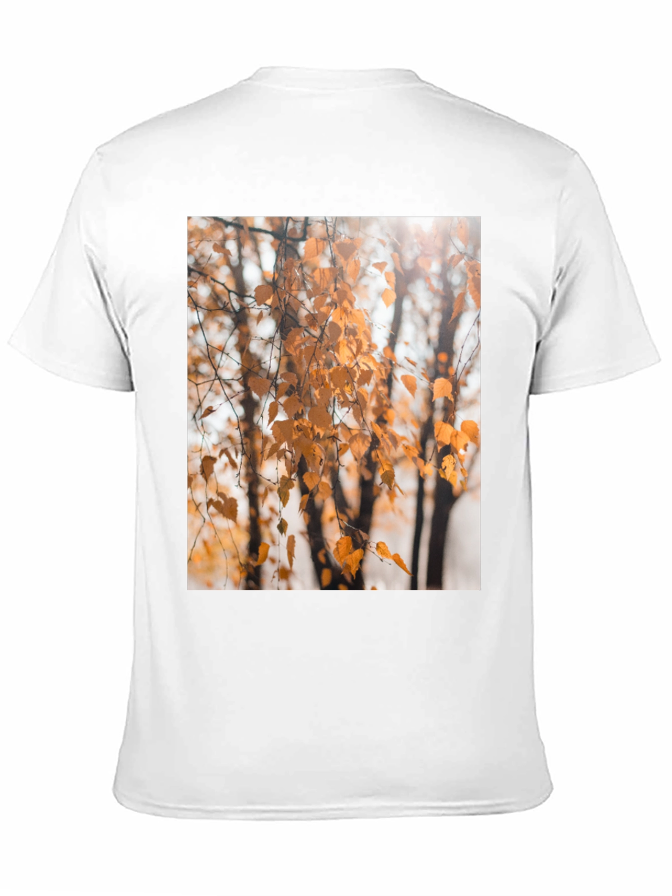 Autumn Leaves Graphic Tee - Nature Inspired Design
